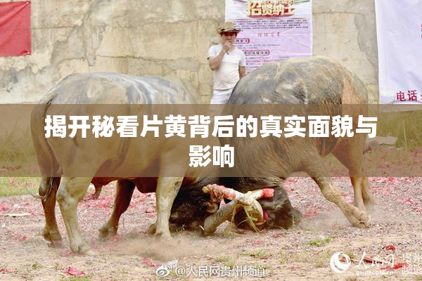 揭开秘看片黄背后的真实面貌与影响
