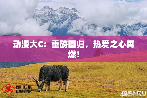 动漫大C：重磅回归，热爱之心再燃！