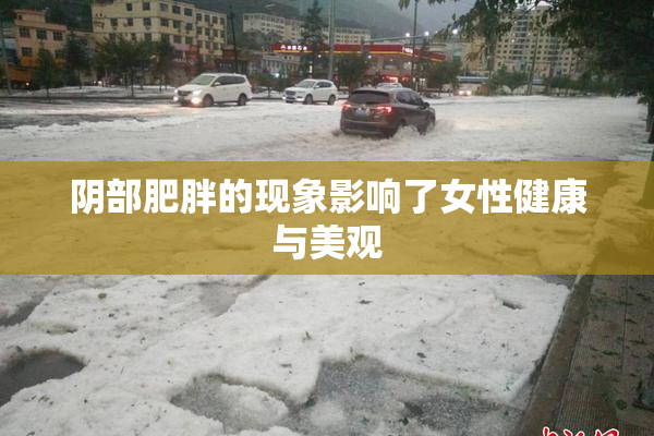 阴部肥胖的现象影响了女性健康与美观