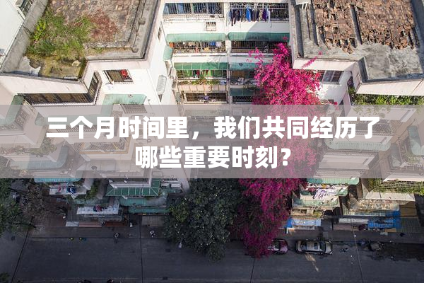 三个月时间里，我们共同经历了哪些重要时刻？