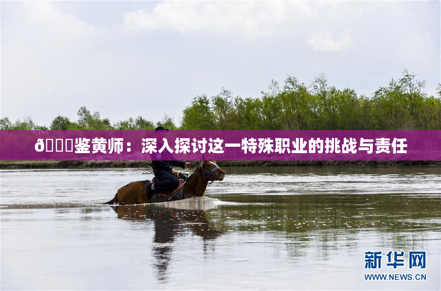 🔞鉴黄师：深入探讨这一特殊职业的挑战与责任