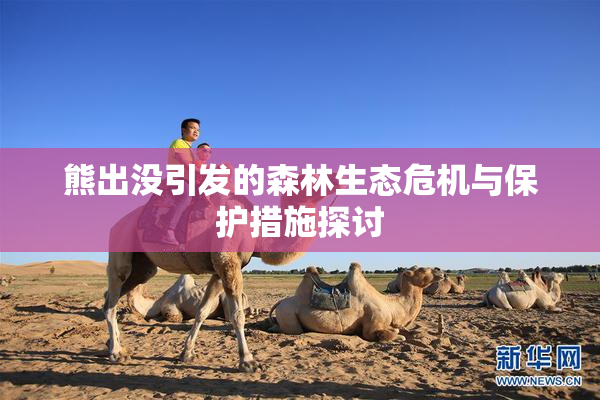 熊出没引发的森林生态危机与保护措施探讨