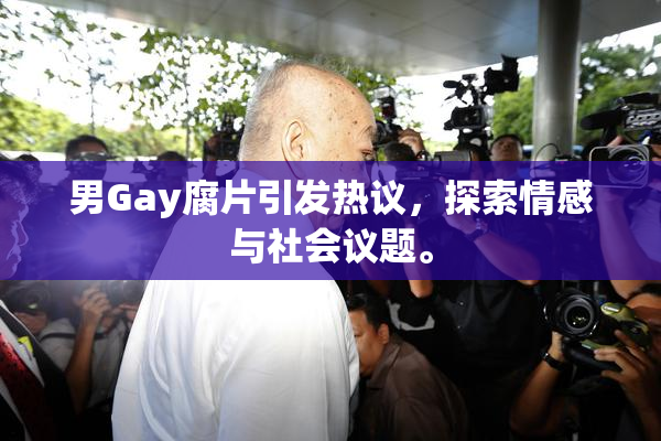 男Gay腐片引发热议，探索情感与社会议题。