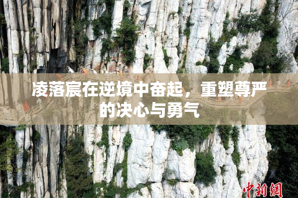 凌落宸在逆境中奋起，重塑尊严的决心与勇气