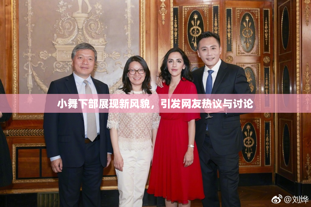 小舞下部展现新风貌，引发网友热议与讨论