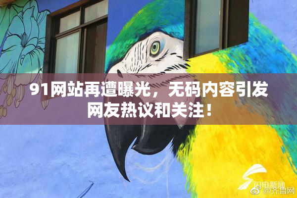 91网站再遭曝光，无码内容引发网友热议和关注！