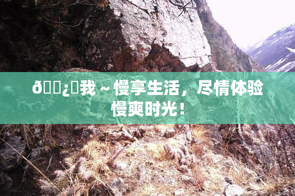 🌿‌我～慢享生活，尽情体验慢爽时光！