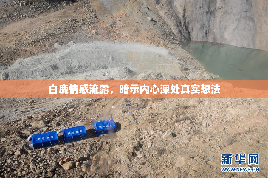 白鹿情感流露，暗示内心深处真实想法