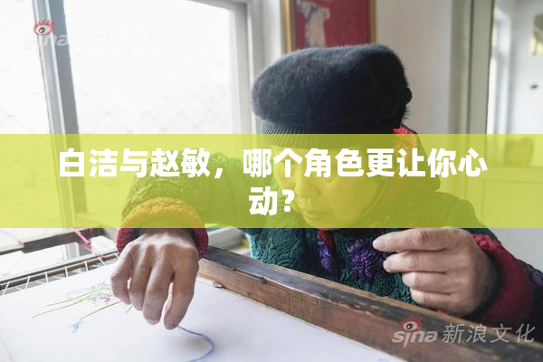 白洁与赵敏，哪个角色更让你心动？