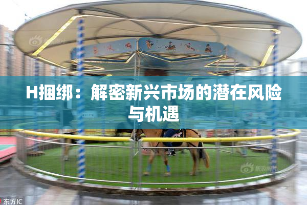 H捆绑：解密新兴市场的潜在风险与机遇