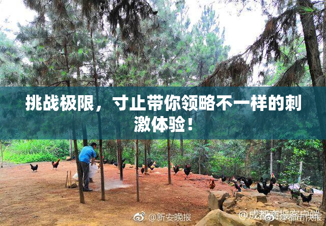 挑战极限，寸止带你领略不一样的刺激体验！
