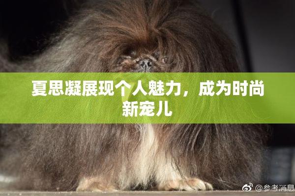 夏思凝展现个人魅力，成为时尚新宠儿