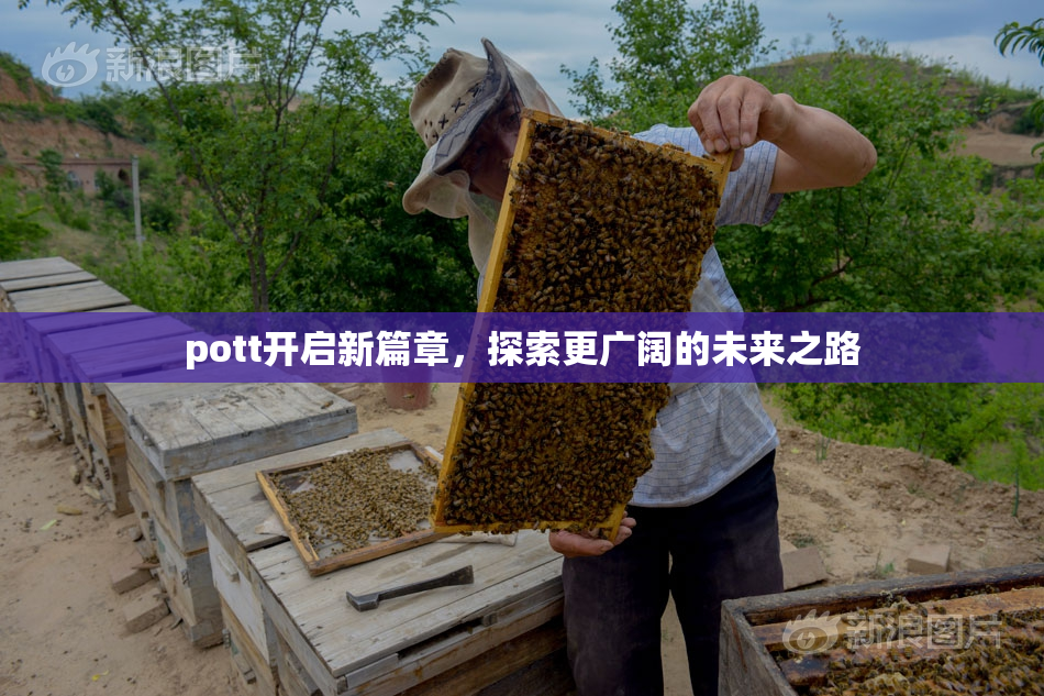 pott开启新篇章，探索更广阔的未来之路