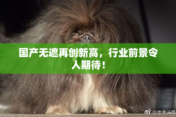 国产无遮再创新高，行业前景令人期待！