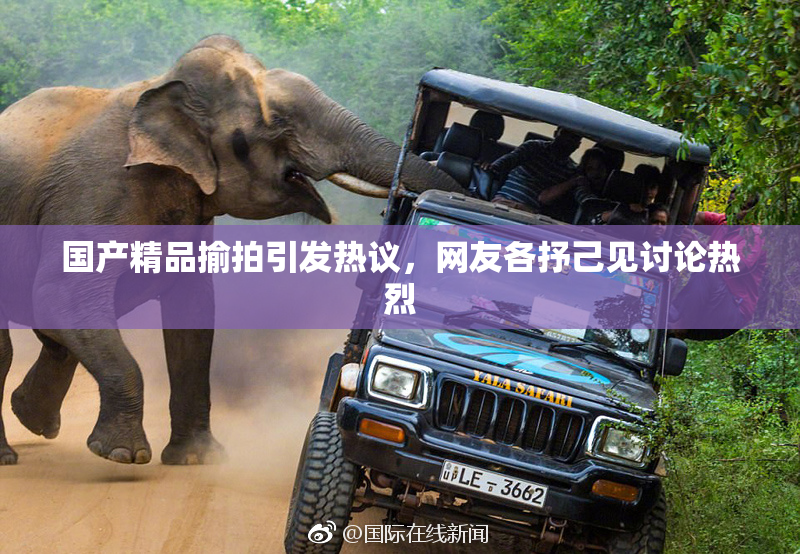 国产精品揄拍引发热议，网友各抒己见讨论热烈