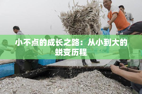 小不点的成长之路：从小到大的蜕变历程