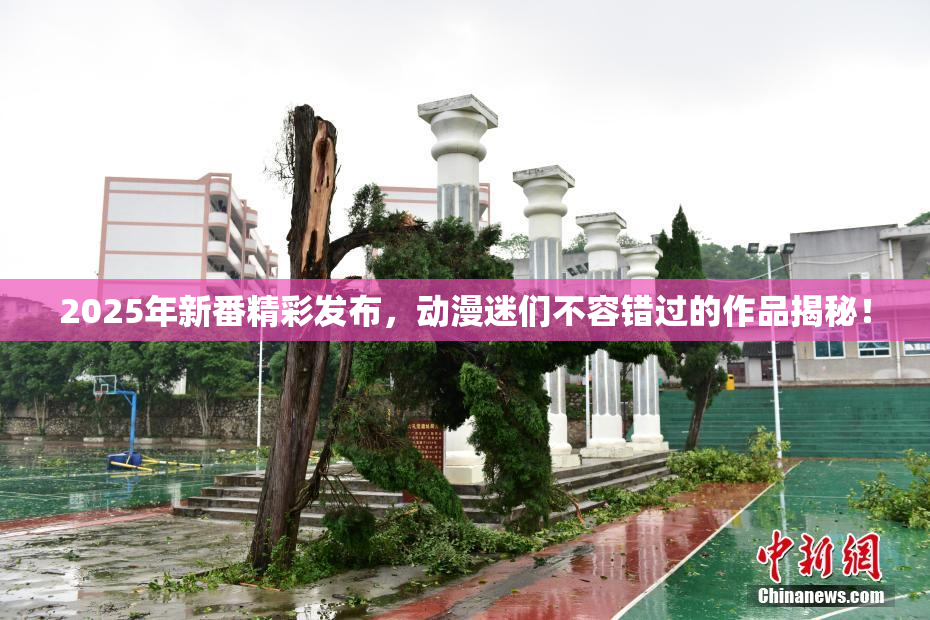 2025年新番精彩发布，动漫迷们不容错过的作品揭秘！