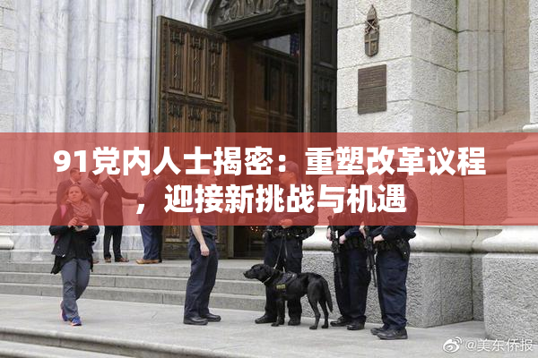 91党内人士揭密：重塑改革议程，迎接新挑战与机遇