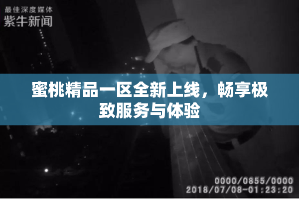 蜜桃精品一区全新上线，畅享极致服务与体验