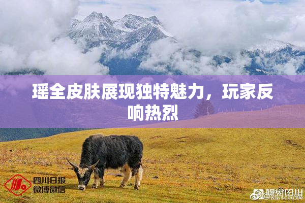 瑶全皮肤展现独特魅力，玩家反响热烈
