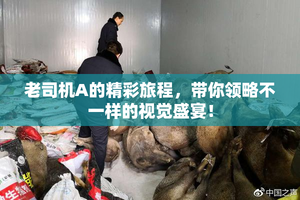 老司机A的精彩旅程，带你领略不一样的视觉盛宴！