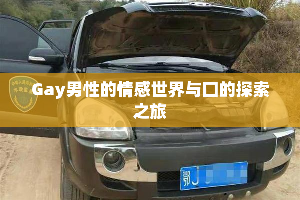 Gay男性的情感世界与囗的探索之旅