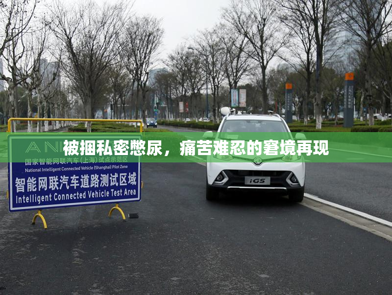 被捆私密憋尿，痛苦难忍的窘境再现