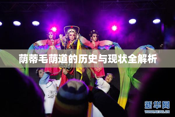 荫蒂毛荫道的历史与现状全解析