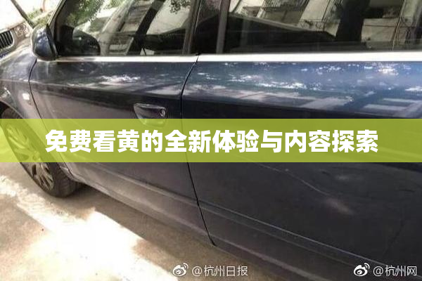免费看黄的全新体验与内容探索
