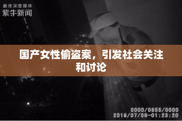 国产女性偷盗案，引发社会关注和讨论