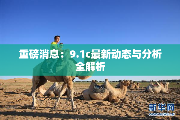 重磅消息：9.1c最新动态与分析全解析