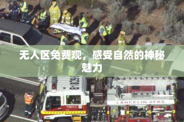 无人区免费观，感受自然的神秘魅力