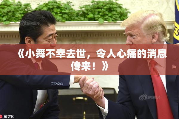 《小舞不幸去世，令人心痛的消息传来！》