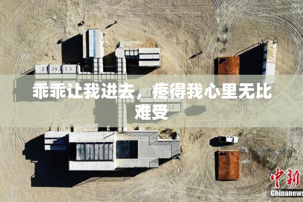 乖乖让我进去，疼得我心里无比难受