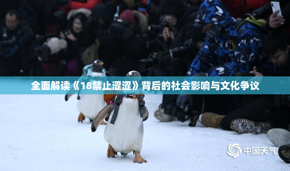 全面解读《18禁止涩涩》背后的社会影响与文化争议