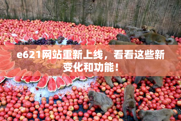 e621网站重新上线，看看这些新变化和功能！
