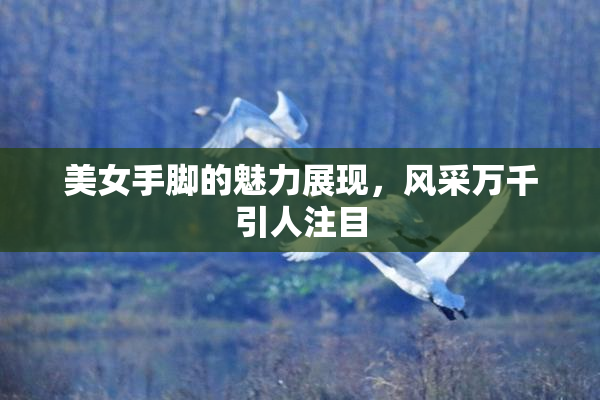 美女手脚的魅力展现，风采万千引人注目