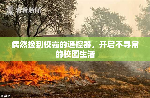 偶然捡到校霸的遥控器，开启不寻常的校园生活