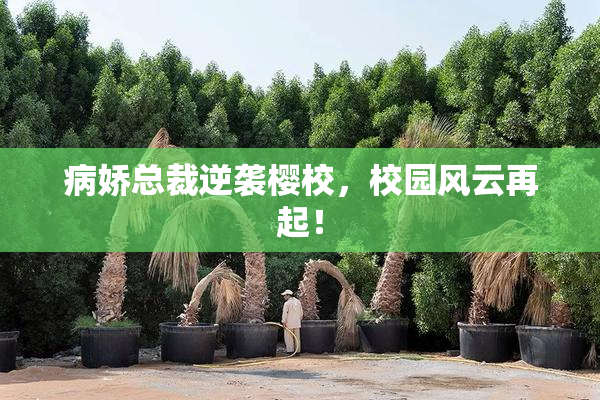病娇总裁逆袭樱校，校园风云再起！