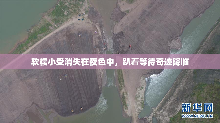 软糯小受消失在夜色中，趴着等待奇迹降临