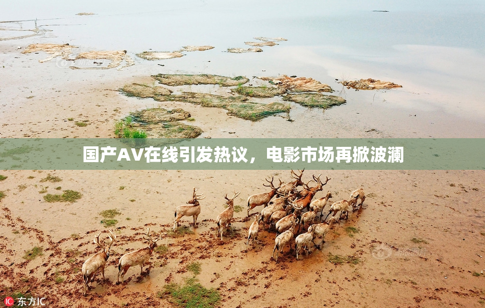 国产AV在线引发热议，电影市场再掀波澜