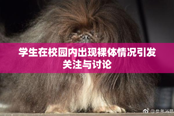 学生在校园内出现裸体情况引发关注与讨论