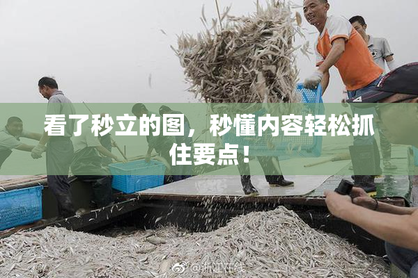 看了秒立的图，秒懂内容轻松抓住要点！