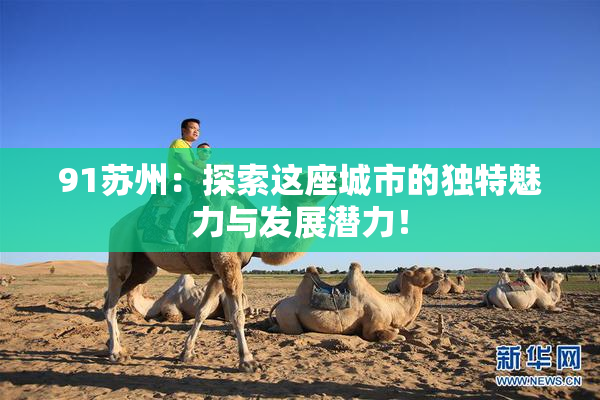 91苏州：探索这座城市的独特魅力与发展潜力！