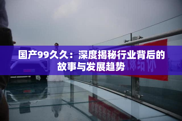 国产99久久：深度揭秘行业背后的故事与发展趋势