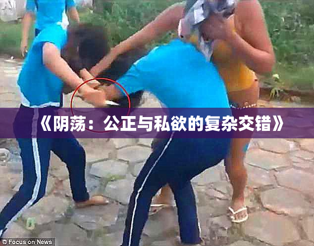 《阴荡：公正与私欲的复杂交错》