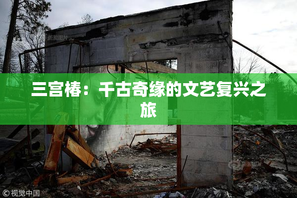 三宫椿：千古奇缘的文艺复兴之旅