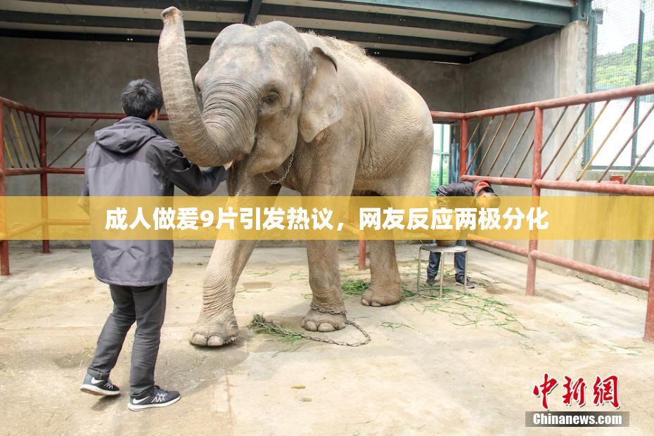 成人做爰9片引发热议，网友反应两极分化