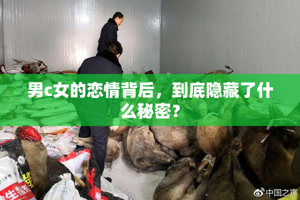 男c女的恋情背后，到底隐藏了什么秘密？