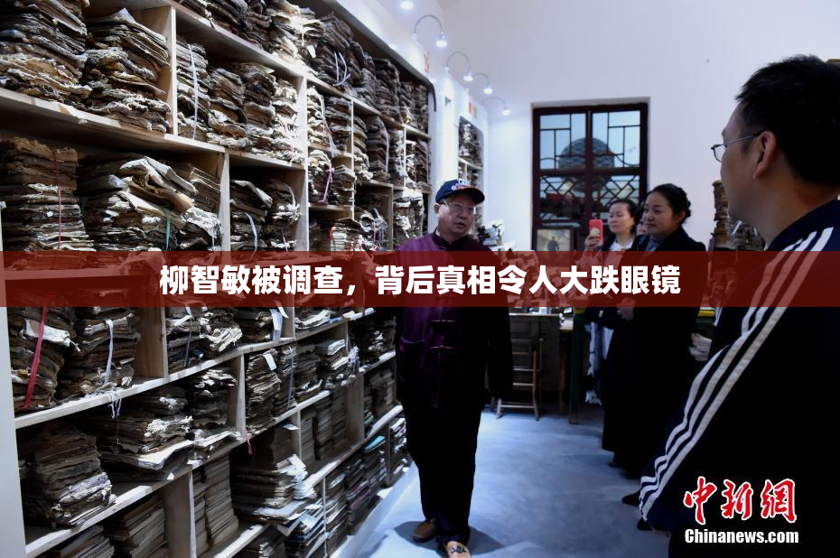 柳智敏被调查，背后真相令人大跌眼镜